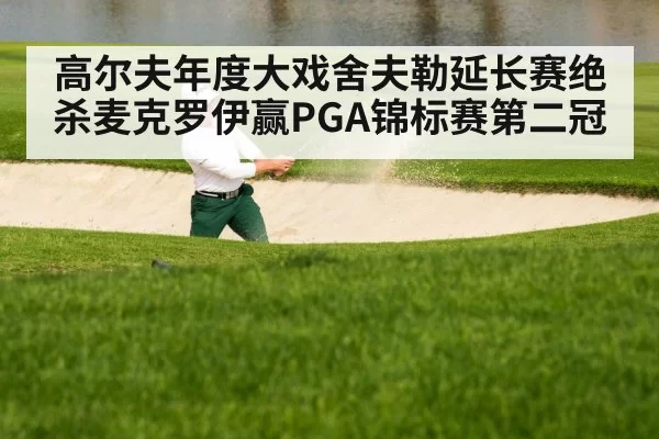 高尔夫年度大戏舍夫勒延长赛绝杀麦克罗伊赢PGA锦标赛第二冠